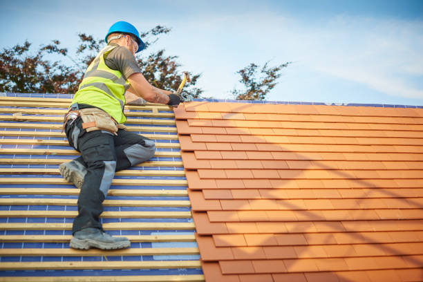 Best Roof Ventilation Installation  in Rittman, OH